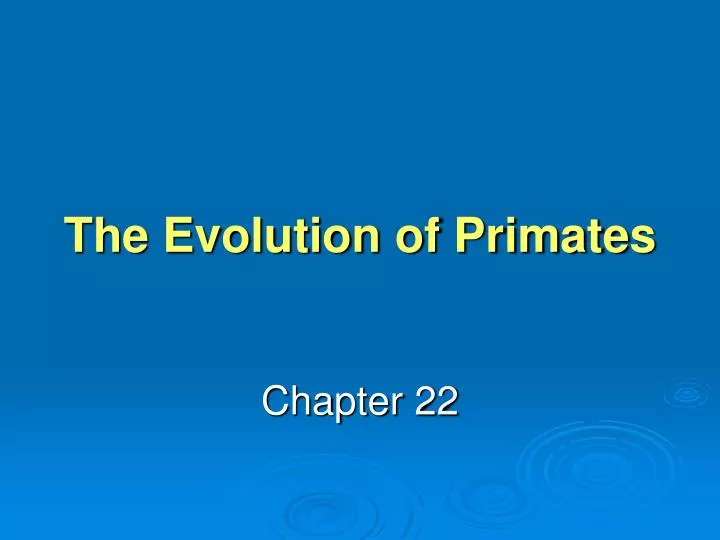 the evolution of primates