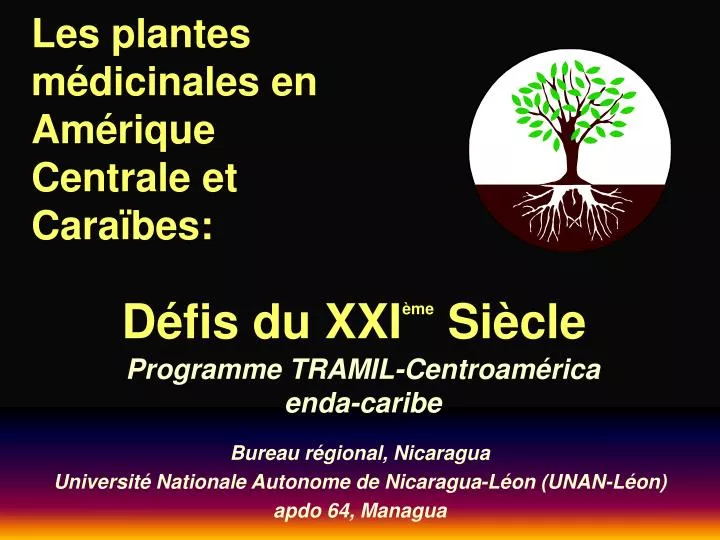 les plantes m dicinales en am rique centrale et cara bes