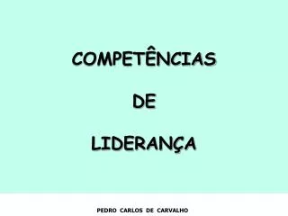 compet ncias de lideran a