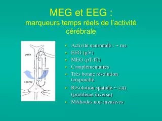 meg et eeg marqueurs temps r els de l activit c r brale