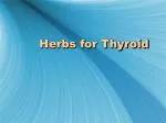 Herbs for Thyroid