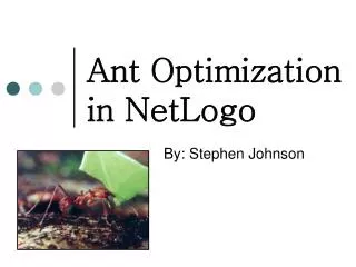 Ant Optimization in NetLogo