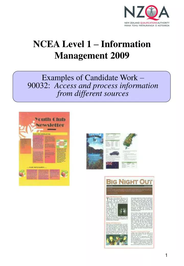 ncea level 1 information management 2009