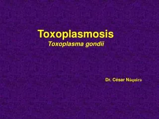 toxoplasmosis toxoplasma gondii