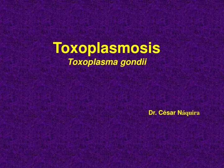 toxoplasmosis toxoplasma gondii
