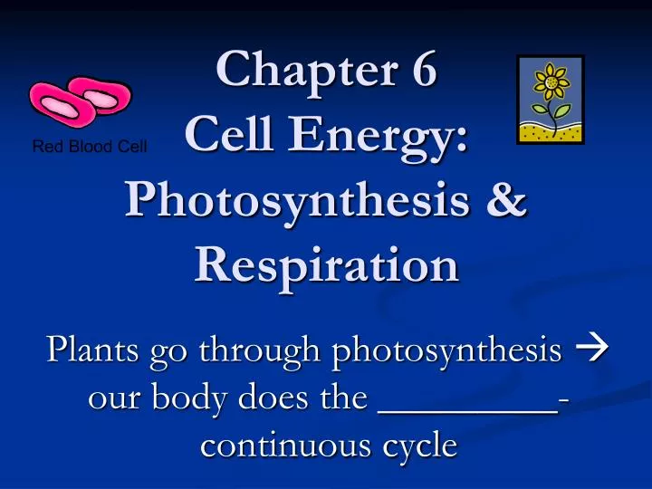 chapter 6 cell energy photosynthesis respiration