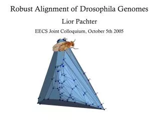 Robust Alignment of Drosophila Genomes Lior Pachter EECS Joint Colloquium, October 5th 2005