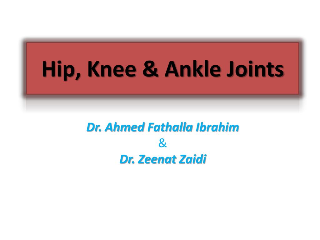 PPT - Hip, Knee & Ankle Joints PowerPoint Presentation, free download ...