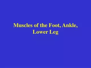 Muscles of the Foot, Ankle, Lower Leg