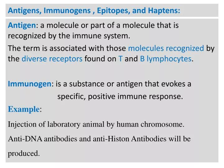 antigens immunogens epitopes and haptens