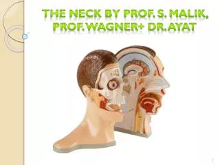 The Neck by Prof. S. Malik, ProF. Wagner + Dr. Ayat