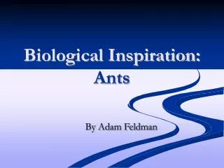 Biological Inspiration: Ants