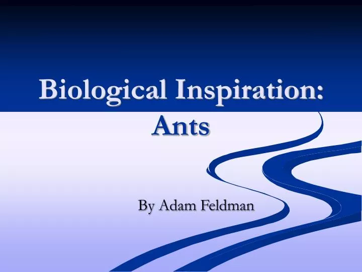 biological inspiration ants