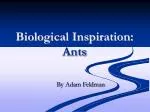Biological Inspiration: Ants - slide 1