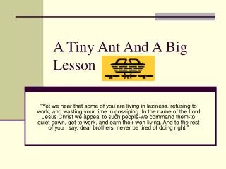 A Tiny Ant And A Big Lesson