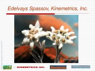 Edelvays Spassov, Kinemetrics, Inc.