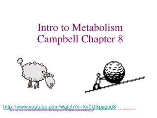 Intro to Metabolism Campbell Chapter 8