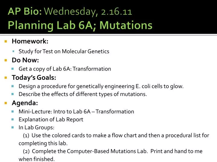ap bio wednesday 2 16 11 planning lab 6a mutations