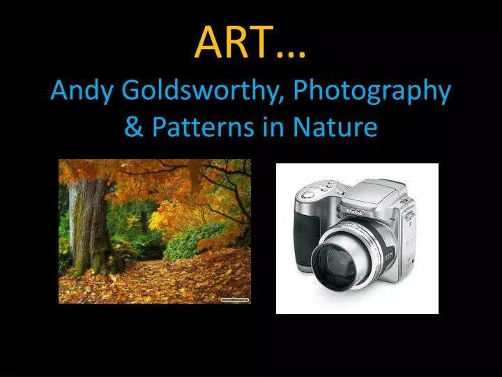 art andy goldsworthy photography patterns in nature