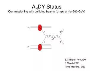 A N DY Status Commissioning with colliding beams (p ? +p ? at ?s=500 GeV)