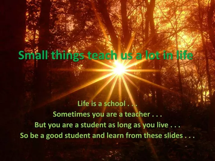 small things teach us a lot in life