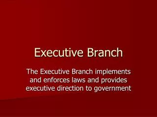 executive branch