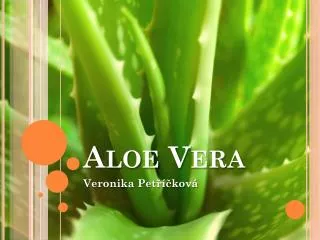 aloe vera