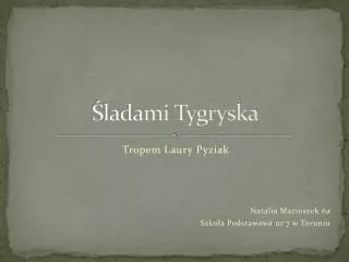 ladami tygryska