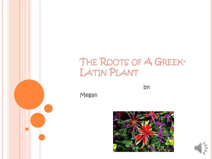 the roots of a greek latin plant