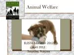 Animal Welfare - slide 1