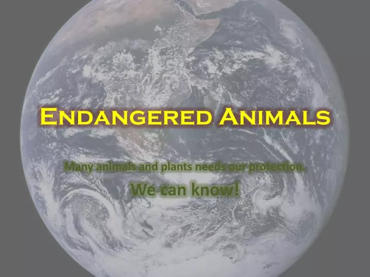 endangered animals