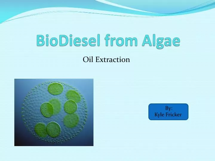 biodiesel from algae