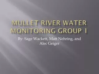Mullet River Water Monitoring Group 1