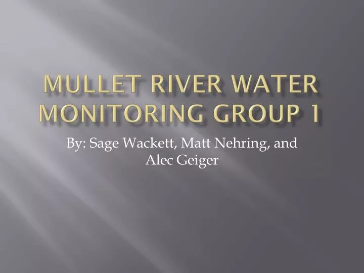 mullet river water monitoring group 1