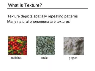 What is Texture?