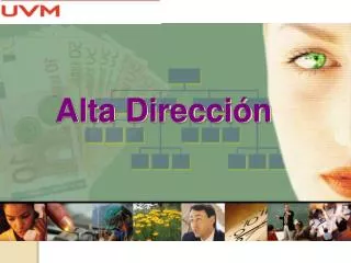 alta direcci n