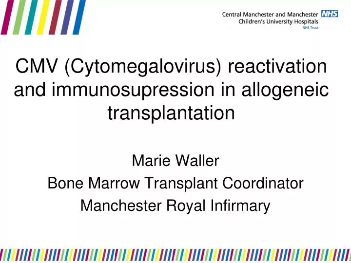 cmv cytomegalovirus reactivation and immunosupression in allogeneic transplantation