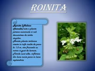 roinita