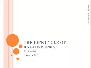 THE LIFE CYCLE OF ANGIOSPERMS