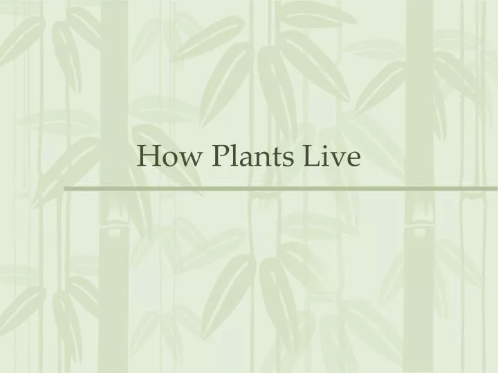 how plants live
