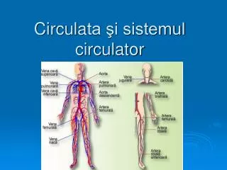 circula ta i sistemul circulator