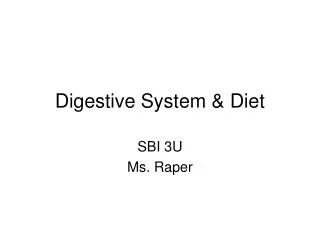 Digestive System &amp; Diet