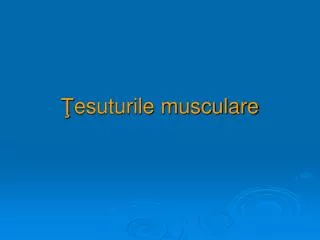 esuturile musculare