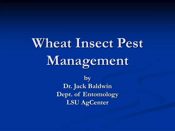 wheat insect pest management