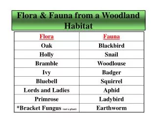 Flora &amp; Fauna from a Woodland Habitat