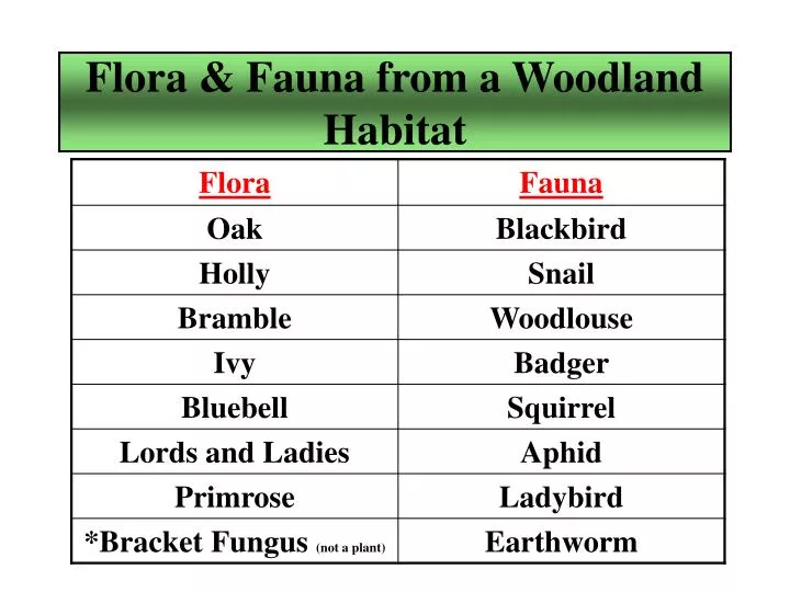 flora fauna from a woodland habitat