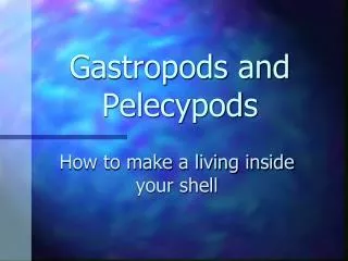 Gastropods and Pelecypods