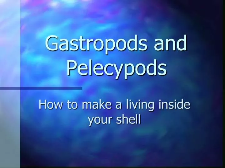gastropods and pelecypods