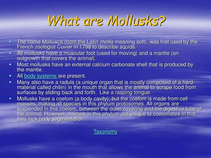 what are mollusks