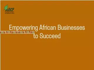Empowering African Businesses to Succeed